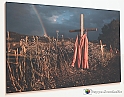 VBS_0698 - World Press Photo Exhibition 2022
